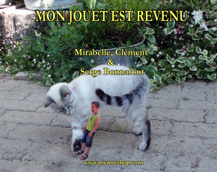 Mon jouet est revenu