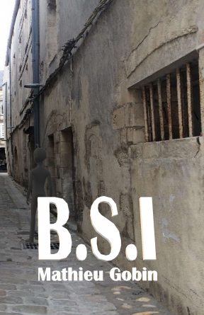 B.S.I