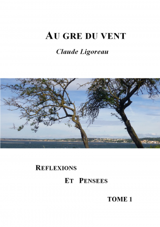 AU GRE DU VENT