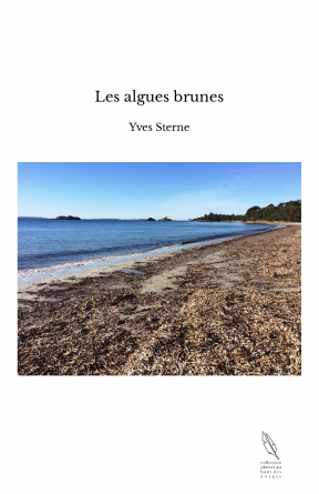 Les algues brunes