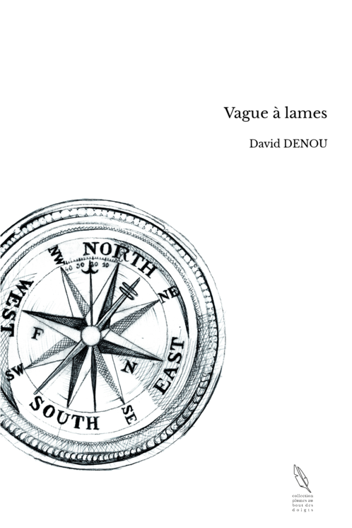 Vague à lames