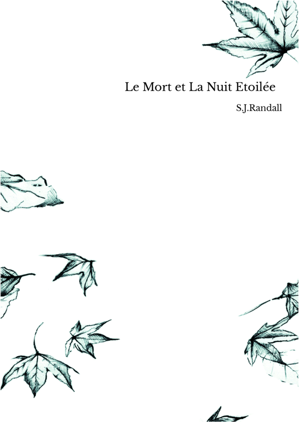  Le Mort et La Nuit Etoilée 