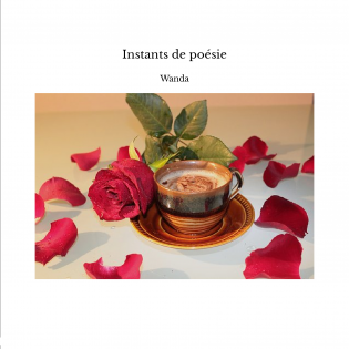 Instants de poésie