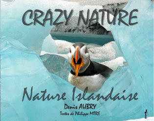 CRAZY NATURE Nature Islandaise