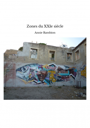 Zones du XXIe siècle