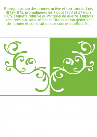 Reorganisation des armées active et territoriale. Lois 1873-1875, promulguées les 7 août 1873 et 27 mars 1875. Enquête relative 