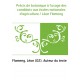 Précis de botanique à l'usage des candidats aux écoles nationales d'agriculture / Léon Flameng