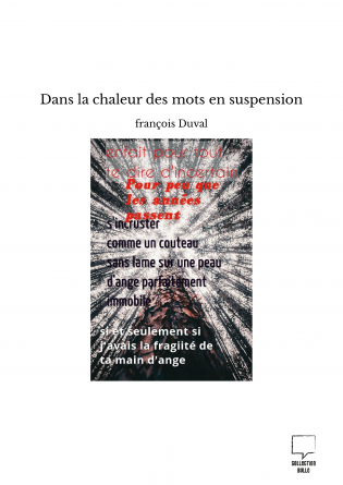 Dans la chaleur des mots en suspension