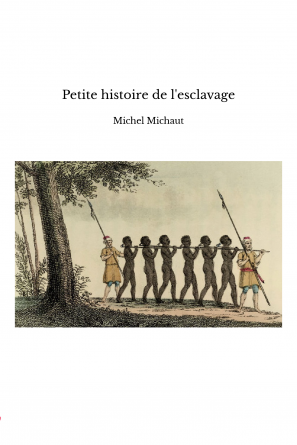 Petite histoire de l'esclavage