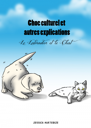 Choc culturel et autres explications