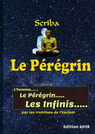 Le Pérégrin des Infinis