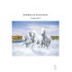 Jonathan ou la rencontre