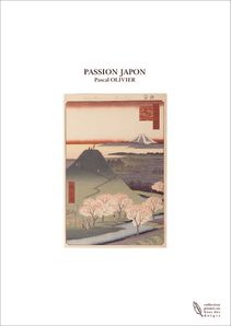PASSION JAPON