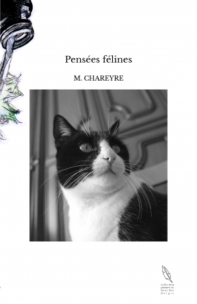 Pensées félines