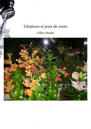 Citations et jeux de mots