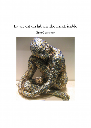 La vie est un labyrinthe inextricable