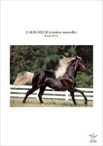 L'ALIGNEUR (crinière mortelle)