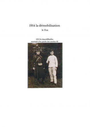 1914 la démobilisation 