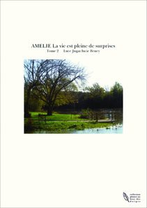 AMELIE La vie est pleine de surprises