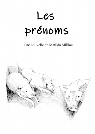 Les prénoms