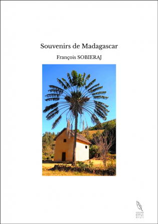 Souvenirs de Madagascar