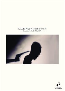 L'ALIGNEUR (éclats de vue)