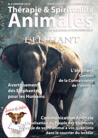 Thérapie & Spiritualité Animales N°4