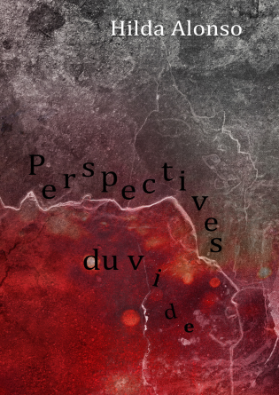 Perspectives du vide