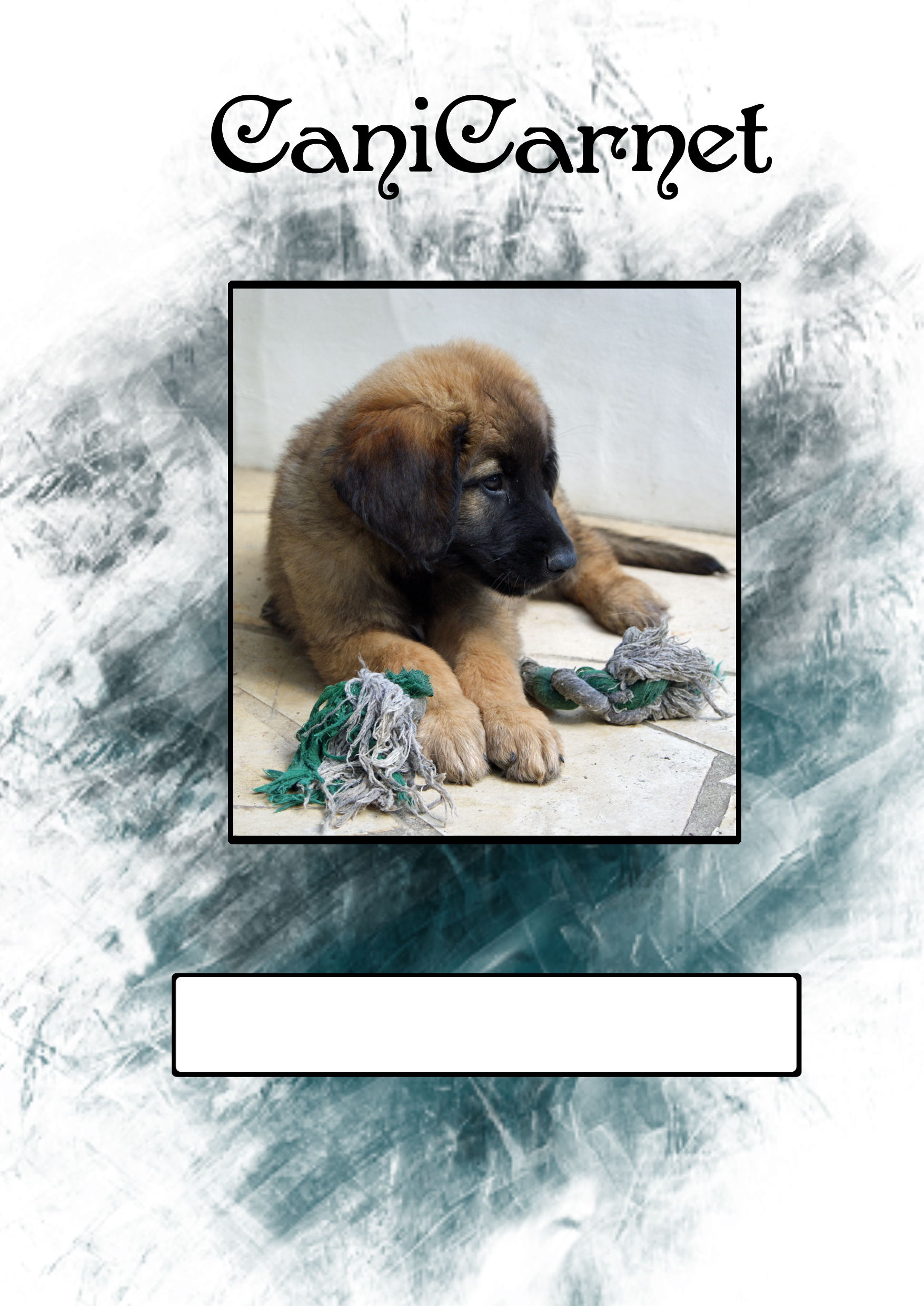 Canicarnet Chien Géant Alizée Villemin