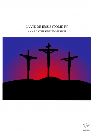 LA VIE DE JESUS (TOME IV)