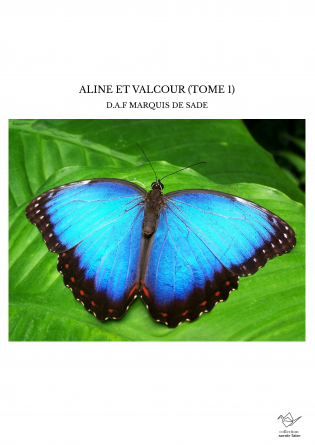 ALINE ET VALCOUR (TOME 1)