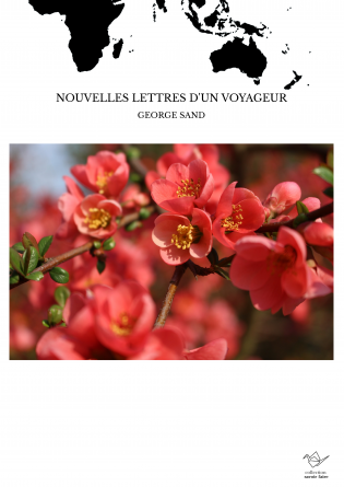 NOUVELLES LETTRES D'UN VOYAGEUR