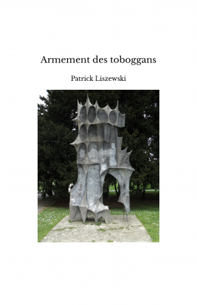 Armement des toboggans