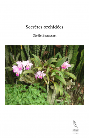 Secrètes orchidées