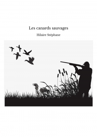 Les canards sauvages