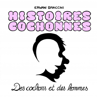 Histoires cochonnes