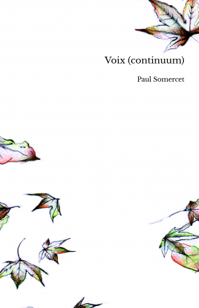 Voix (continuum)