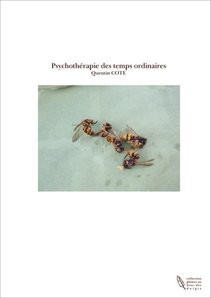 Psychothérapie des temps ordinaires