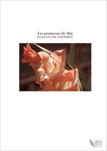 Les promesses de Mai