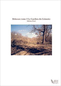 Delaware tome 2 Le Gardien du Grimoire