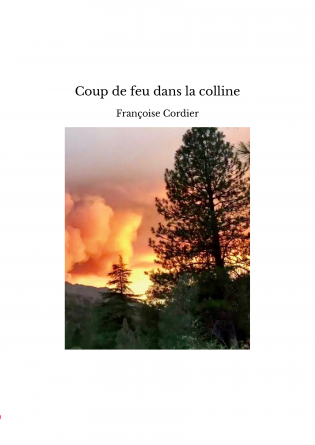 Coup de feu dans la colline