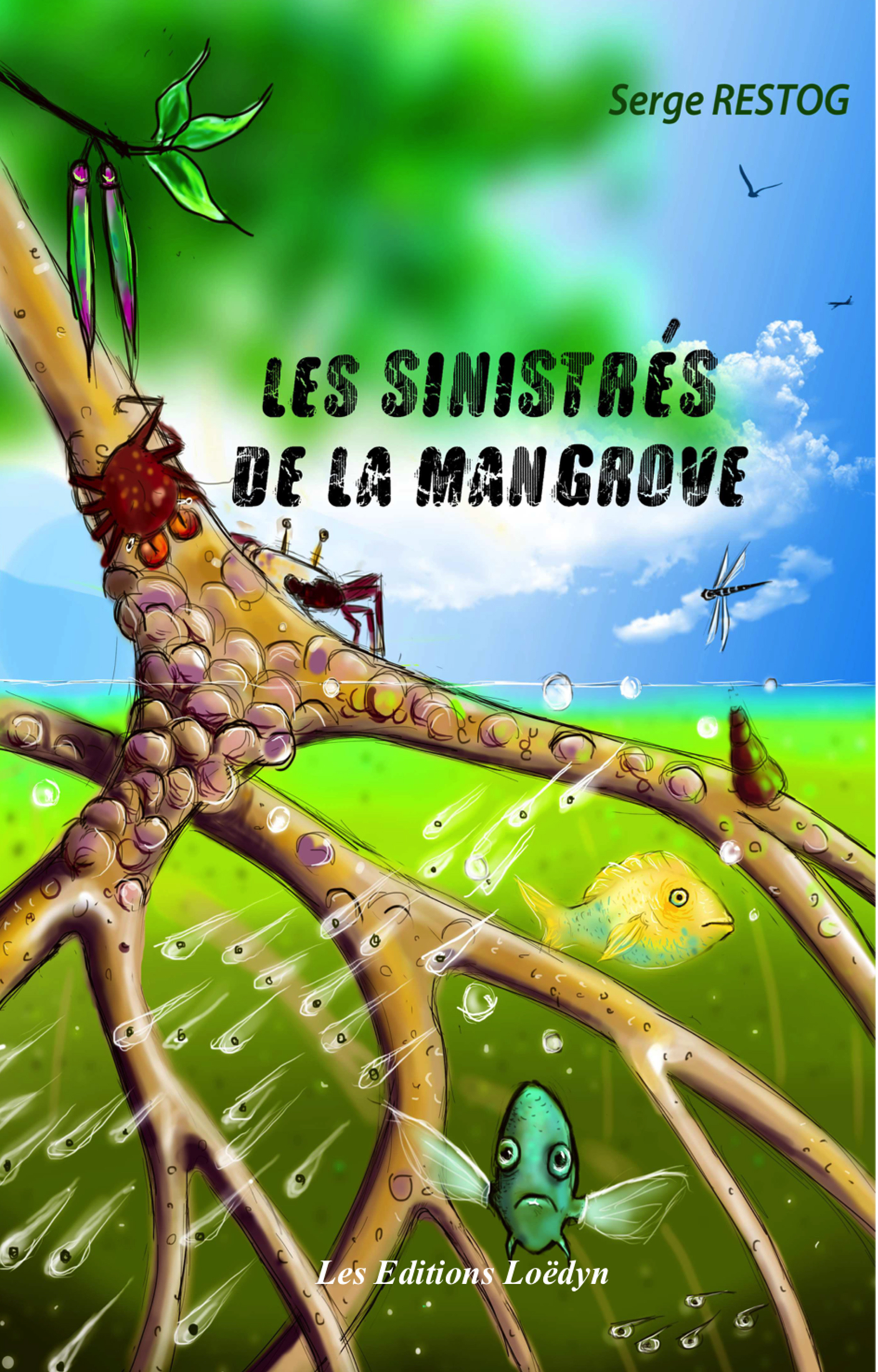 Les sinistrés de la mangrove