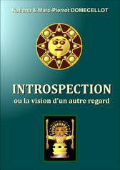 INTROSPECTION ou la vision d'un autre