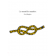 Le noeud de transfert