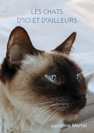 Les chats d'ici et d'aileurs