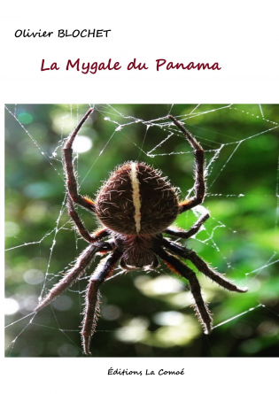 LA MYGALE DU PANAMA