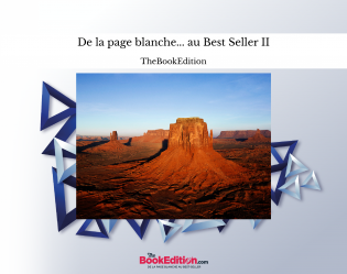 De la page blanche... au Best Seller II