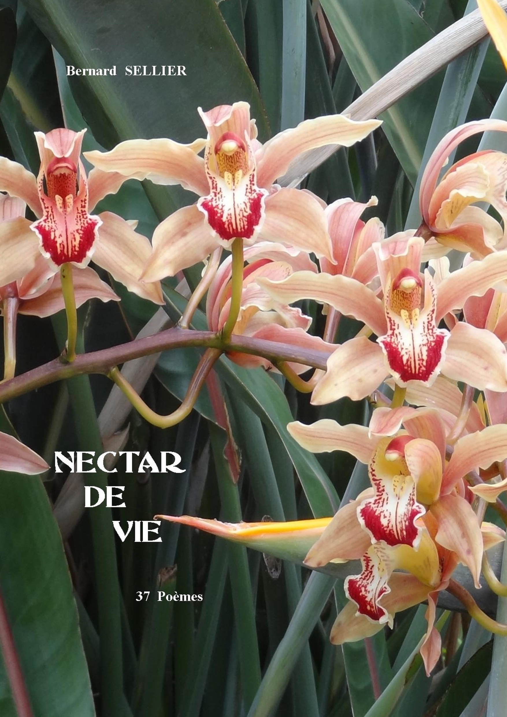 Nectar de Vie