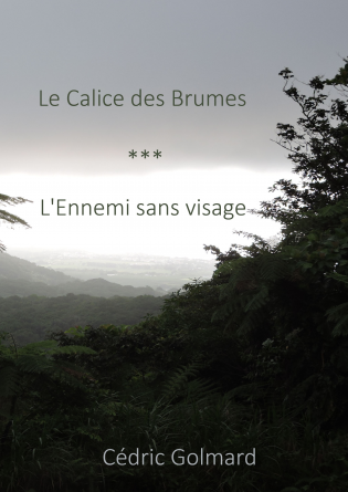 Le Calice des Brumes, Tome 3