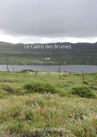 Le Calice des Brumes, Tome 2